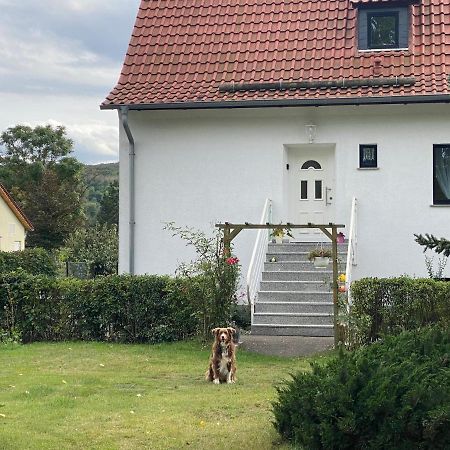 Ferienhaus Am Muehlgraben Thale Ngoại thất bức ảnh