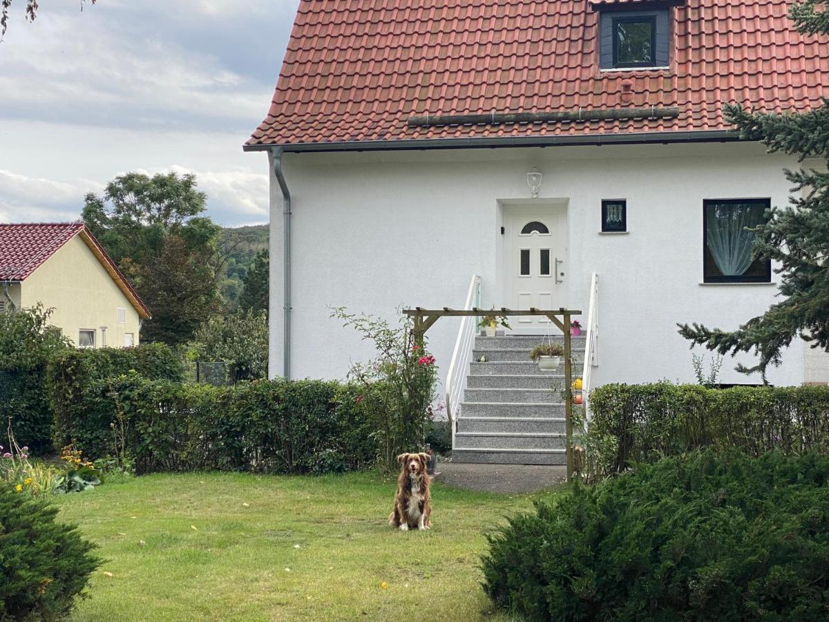 Ferienhaus Am Muehlgraben Thale Ngoại thất bức ảnh