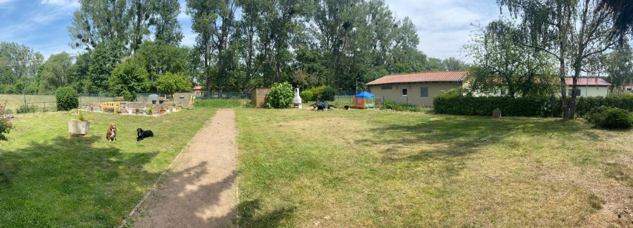 Ferienhaus Am Muehlgraben Thale Ngoại thất bức ảnh